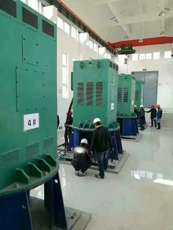 泰兴某污水处理厂使用我厂的立式高压电机安装现场